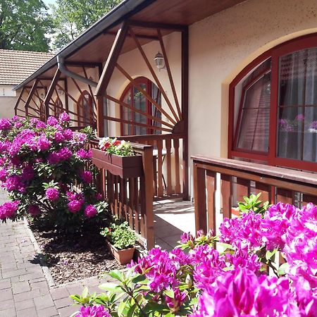 Hotel Fogl Nova Bystrice Exterior photo