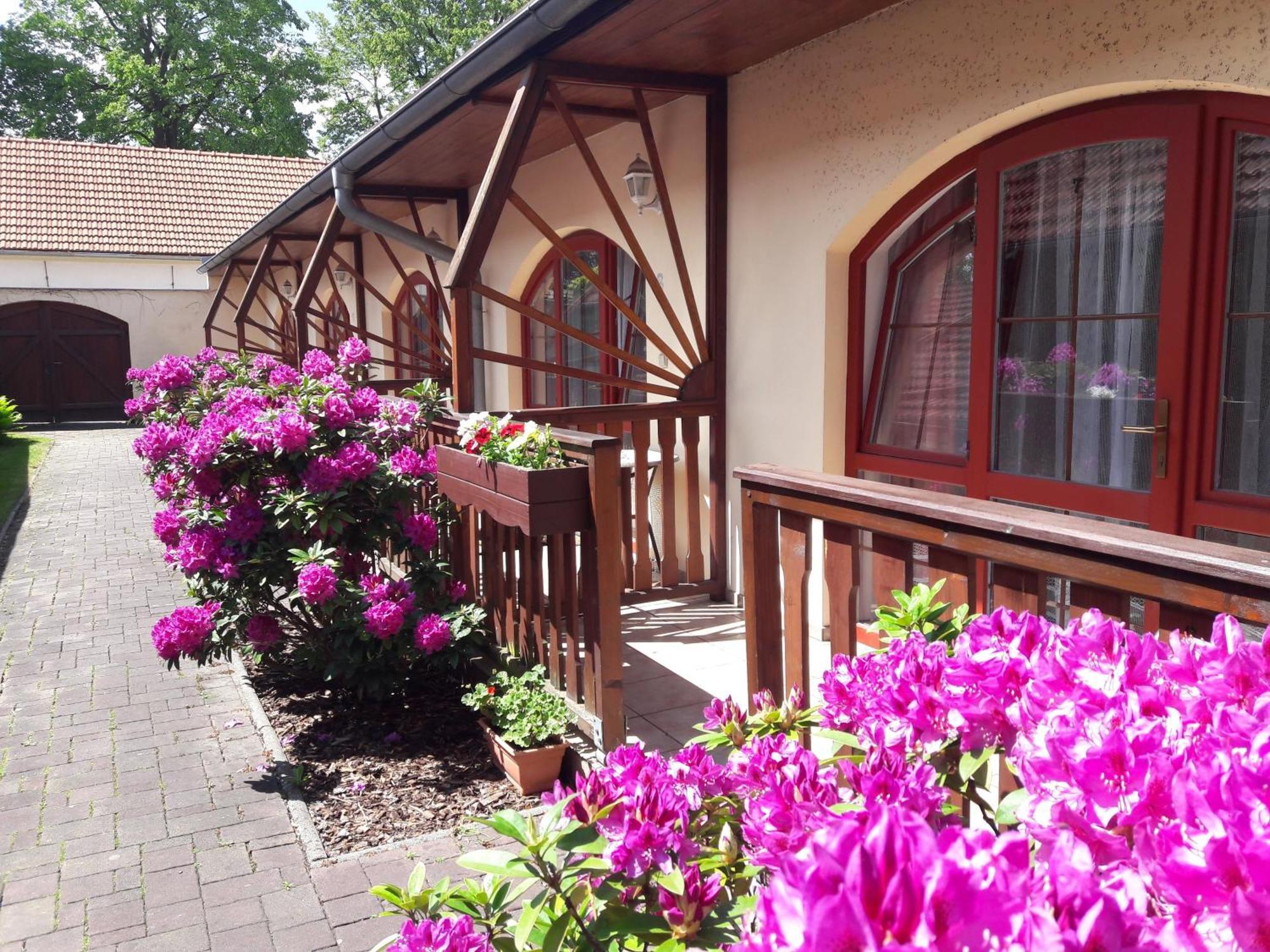Hotel Fogl Nova Bystrice Exterior photo