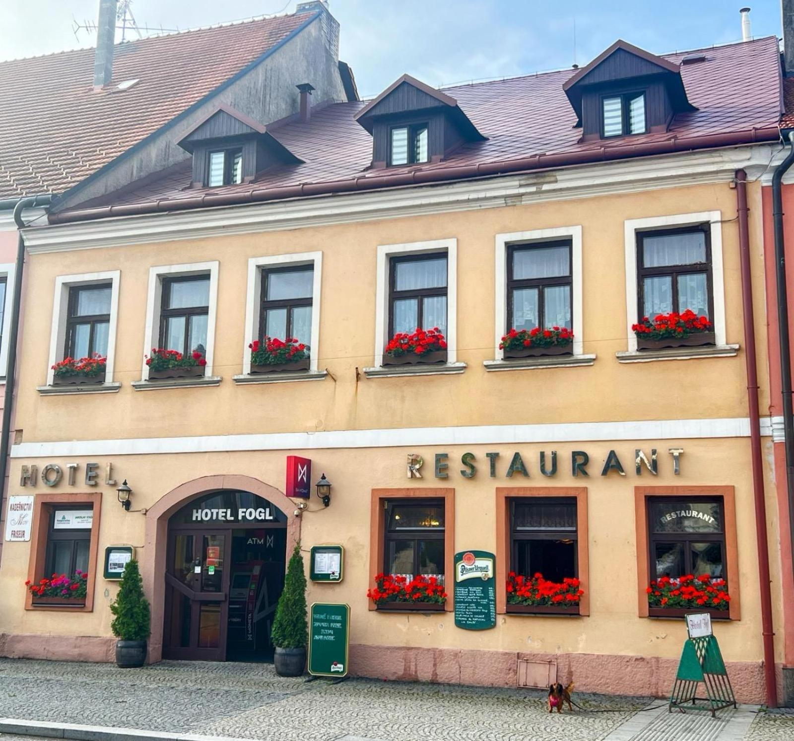 Hotel Fogl Nova Bystrice Exterior photo